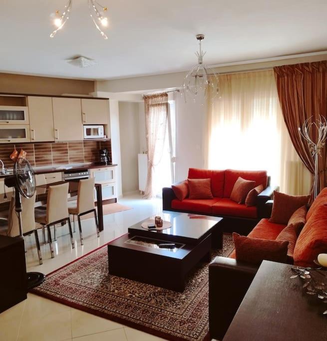 Evaggelia'S Apartments 5 Οικογενειακό Διαμέρισμα 科扎尼 外观 照片