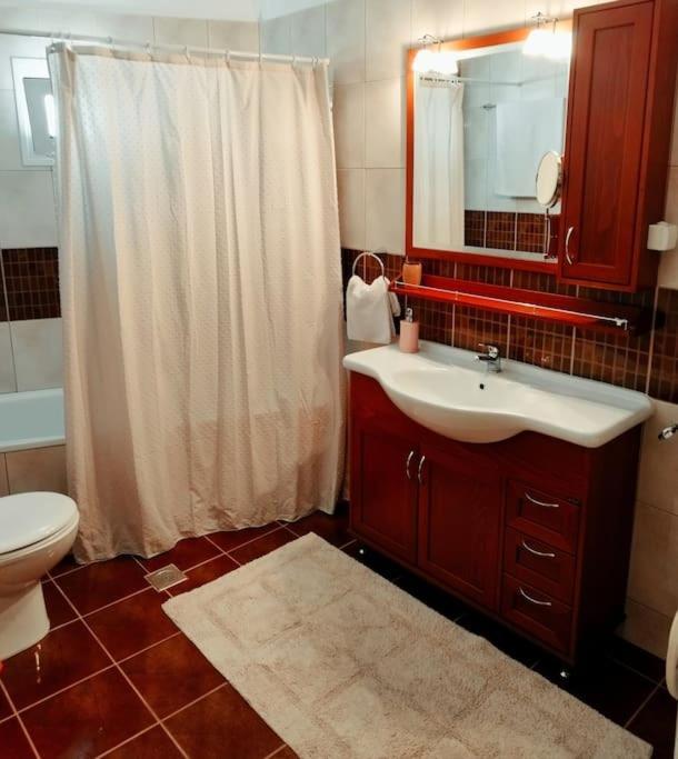 Evaggelia'S Apartments 5 Οικογενειακό Διαμέρισμα 科扎尼 外观 照片